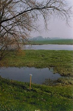 De sluis